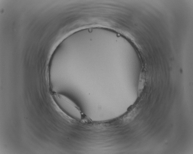 X0000077291516200611101330