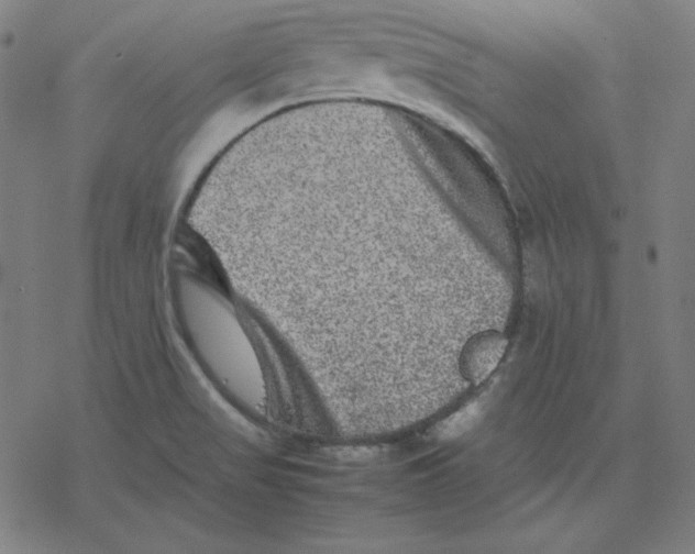 X0000077291517200611101330