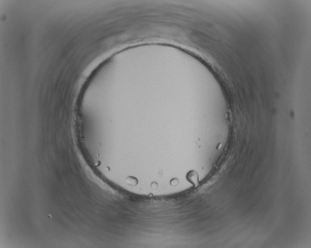 X0000077291518200611101330