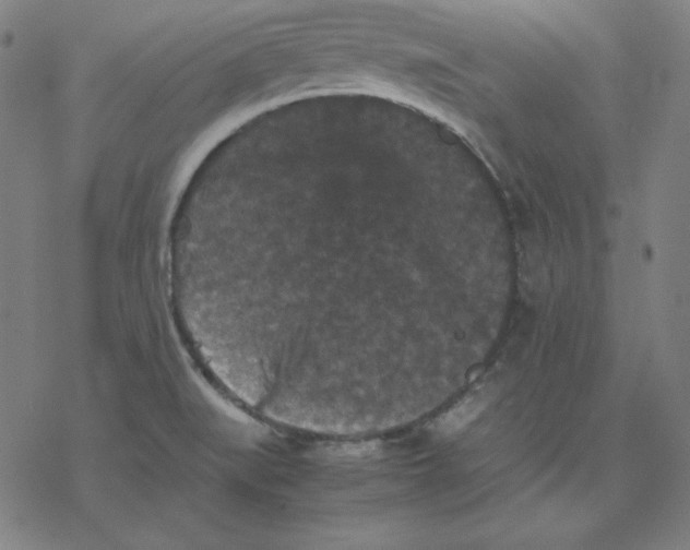 X0000077291519200611101330