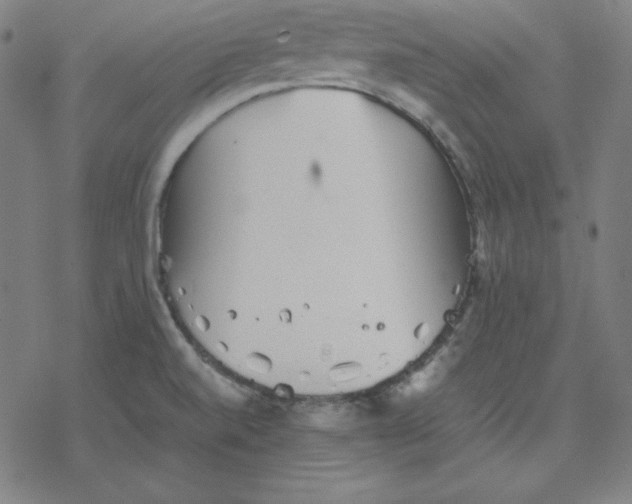 X0000077291520200611101330