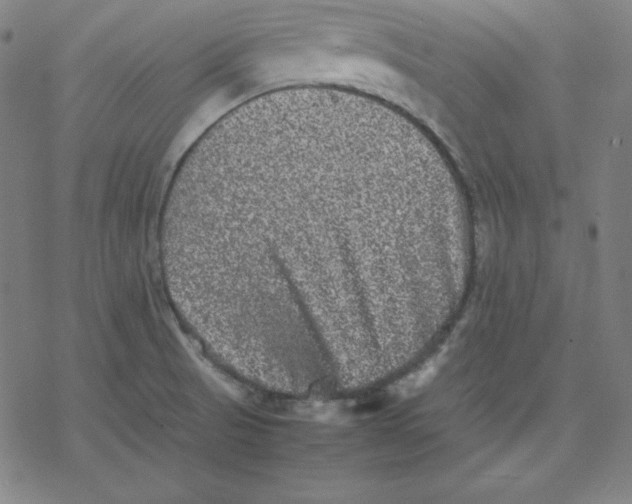 X0000077291521200611101330