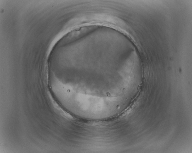 X0000077291522200611101330