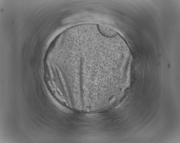 X0000077291523200611101330