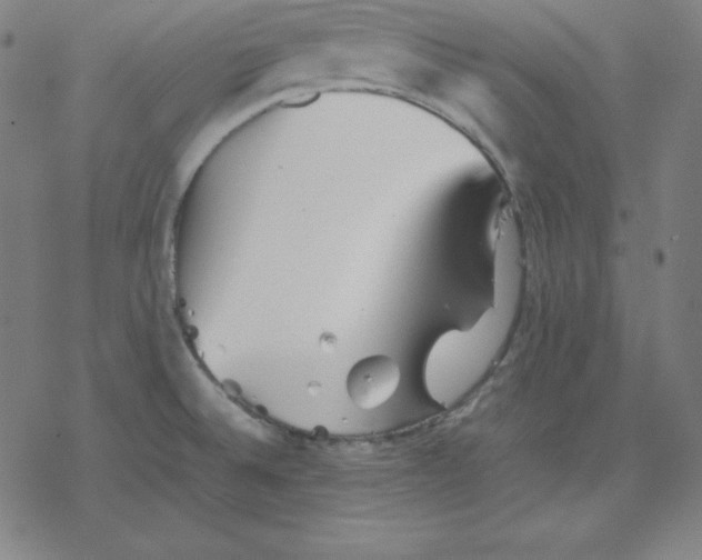 X0000077291524200611101330