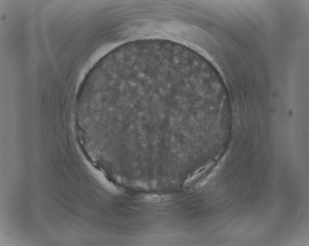 X0000077291525200611101330