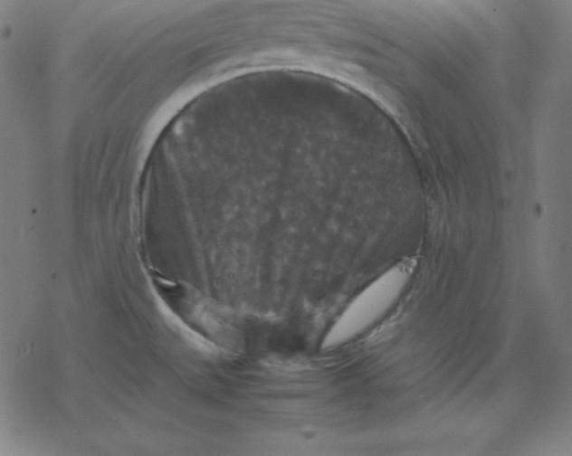 X0000077291527200611101330