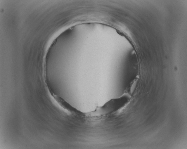 X0000077291528200611101330