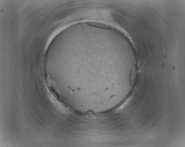 X0000077291530200611101330