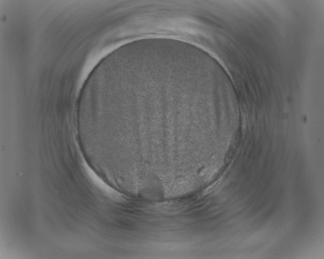 X0000077291531200611101330