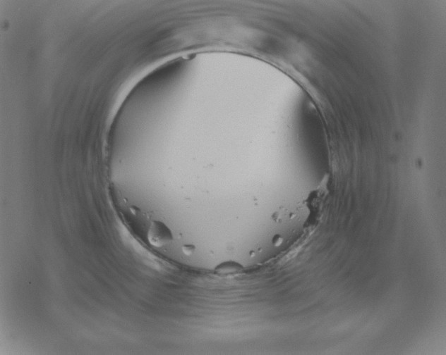 X0000077291532200611101330