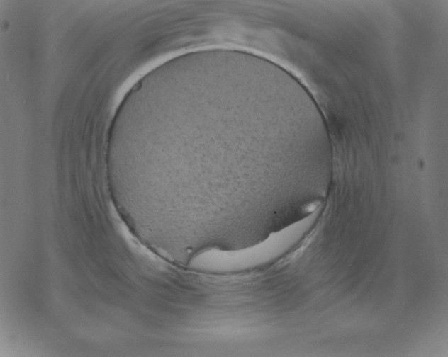 X0000077291534200611101330