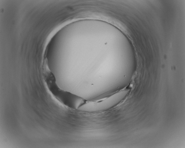 X0000077291536200611101330