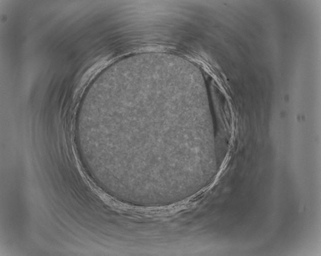 X0000077290001200611171639