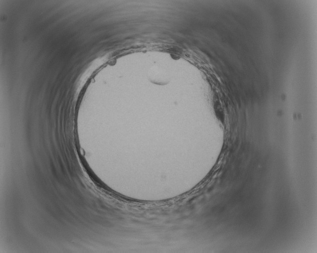 X0000077290003200611171639