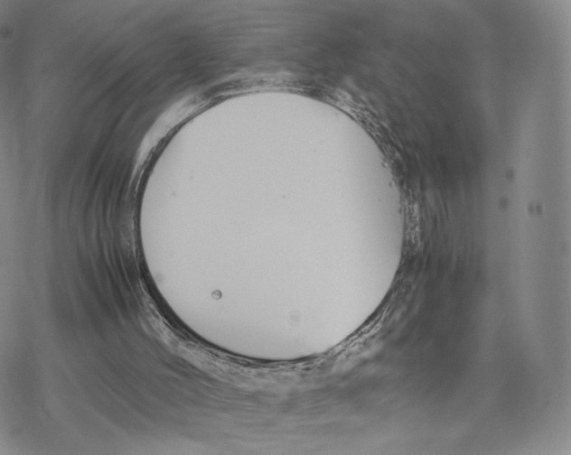 X0000077290004200611171639