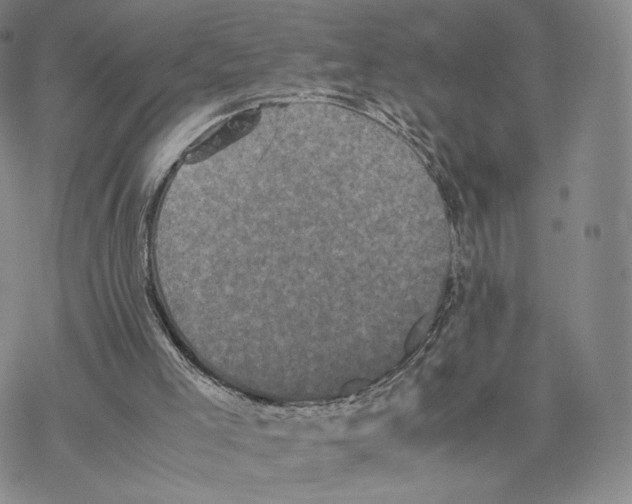 X0000077290005200611171639