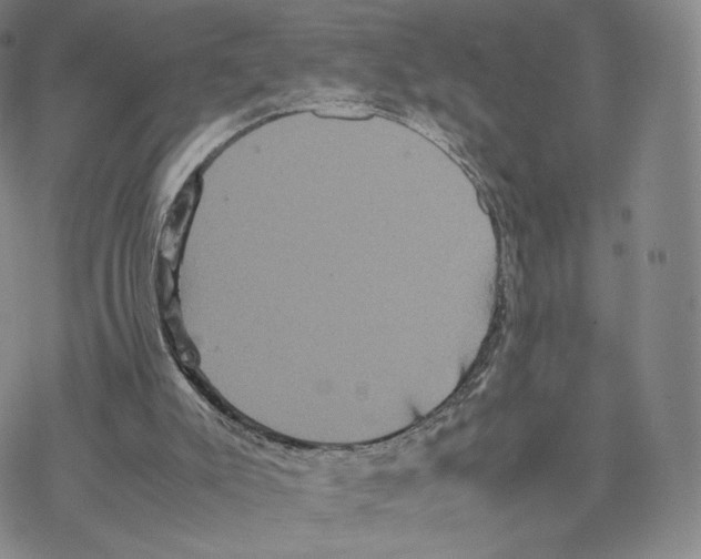 X0000077290007200611171639