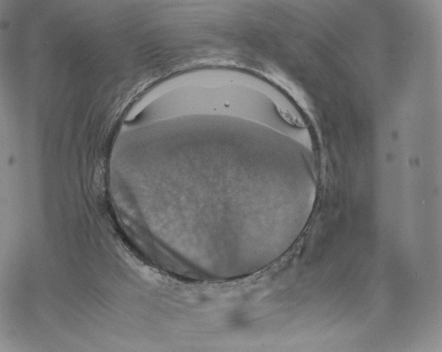 X0000077290009200611171639