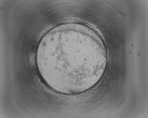 X0000077290010200611171639