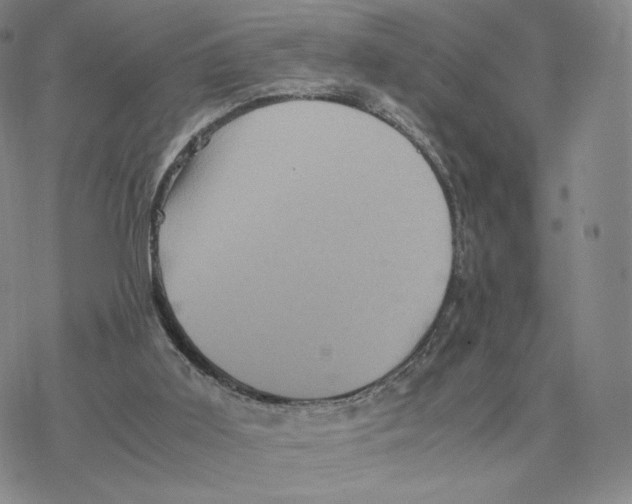 X0000077290011200611171639