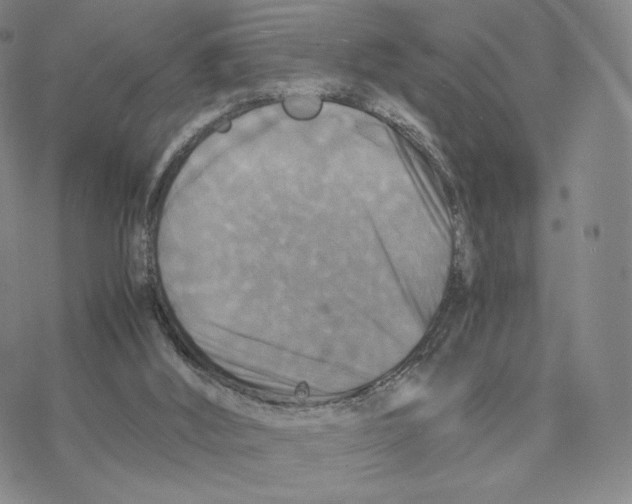 X0000077290012200611171639