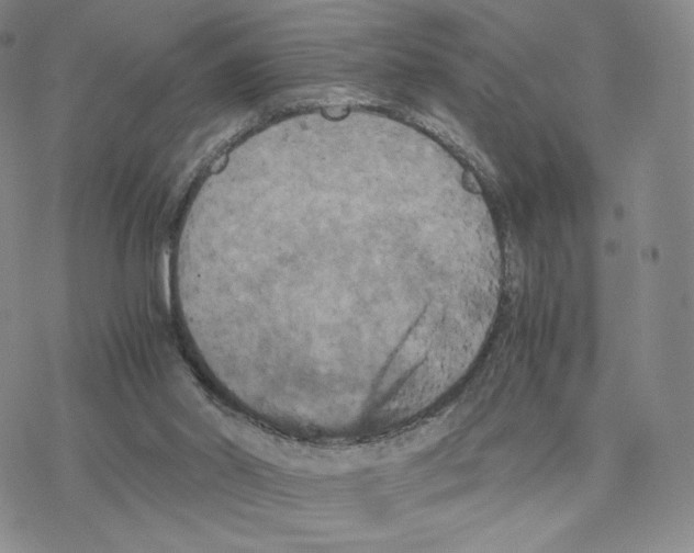 X0000077290014200611171639