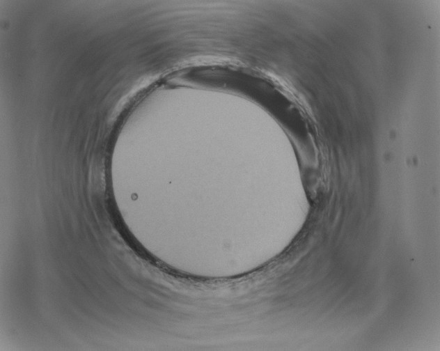 X0000077290015200611171639