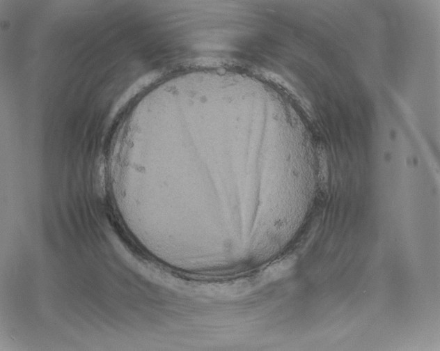 X0000077290016200611171639