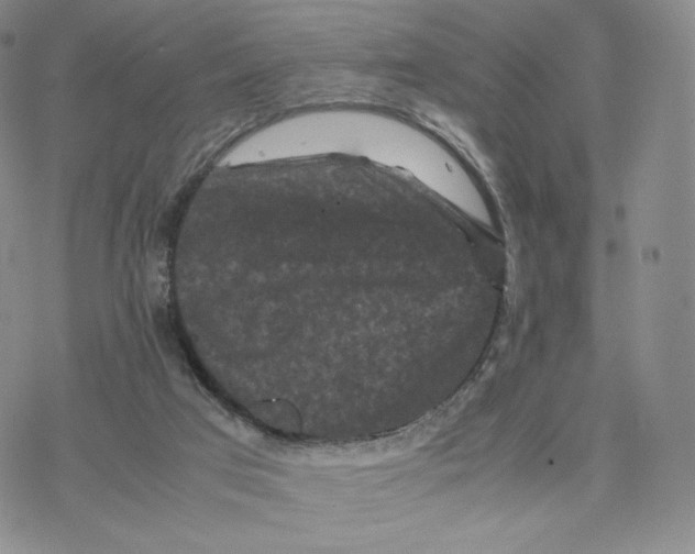 X0000077290017200611171638