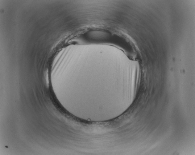 X0000077290020200611171638