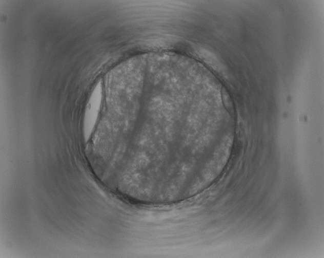 X0000077290021200611171638