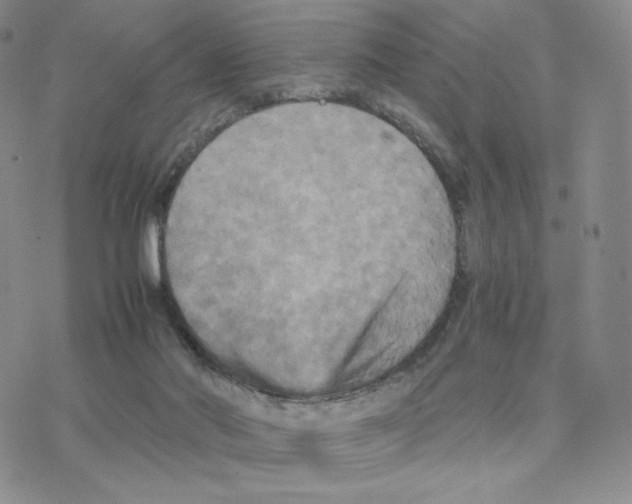 X0000077290022200611171638