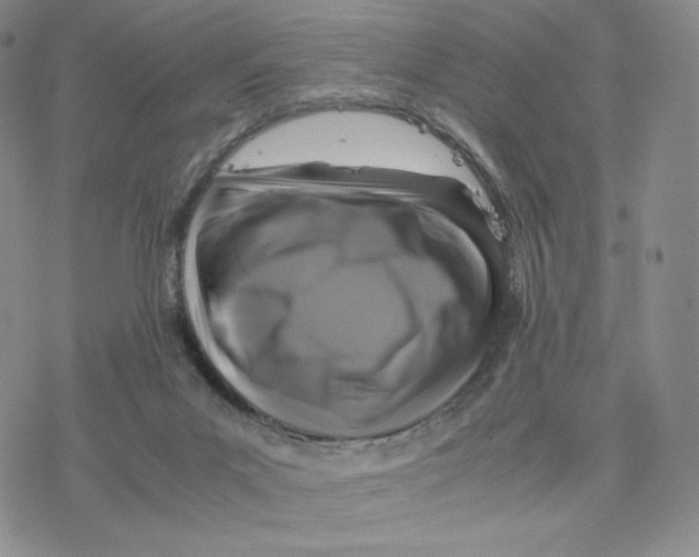 X0000077290023200611171638