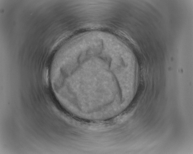 X0000077290024200611171638