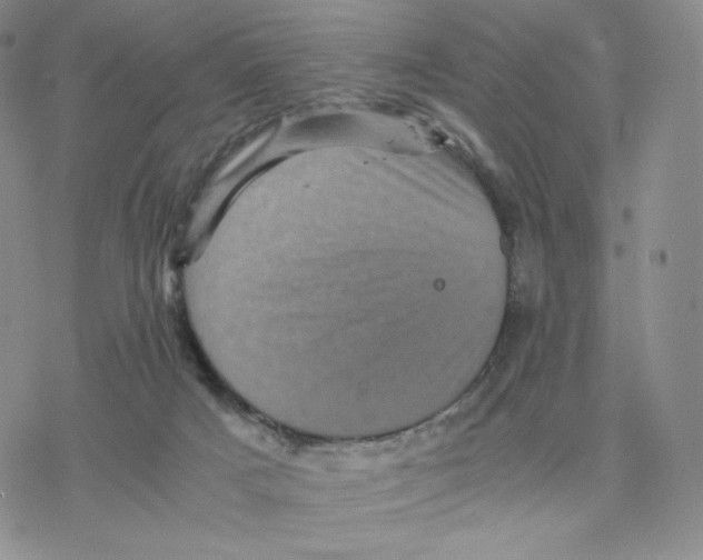 X0000077290025200611171638