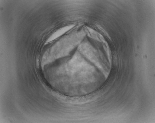 X0000077290026200611171638