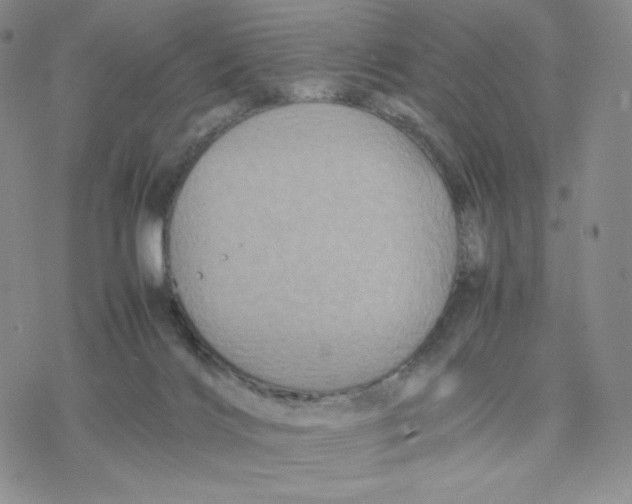 X0000077290028200611171638