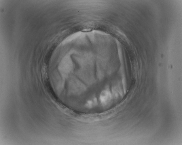 X0000077290029200611171638