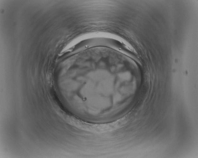 X0000077290031200611171638