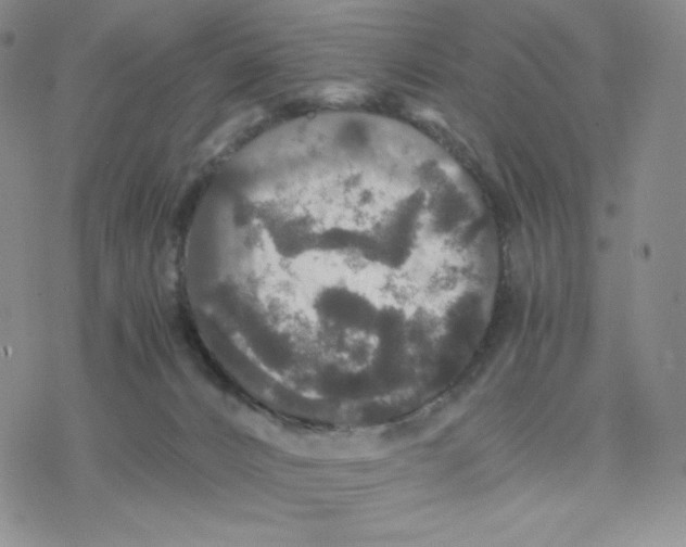 X0000077290032200611171638