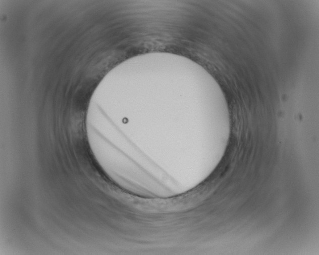 X0000077290034200611171638