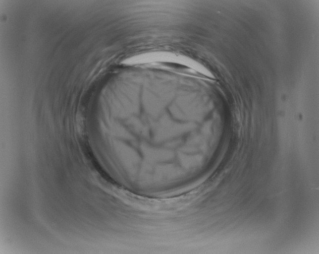 X0000077290035200611171638