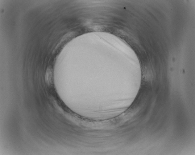 X0000077290036200611171638