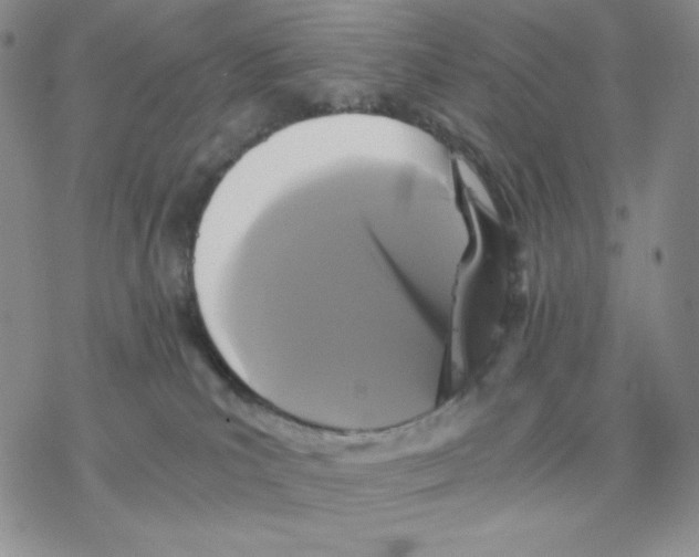 X0000077290039200611171638