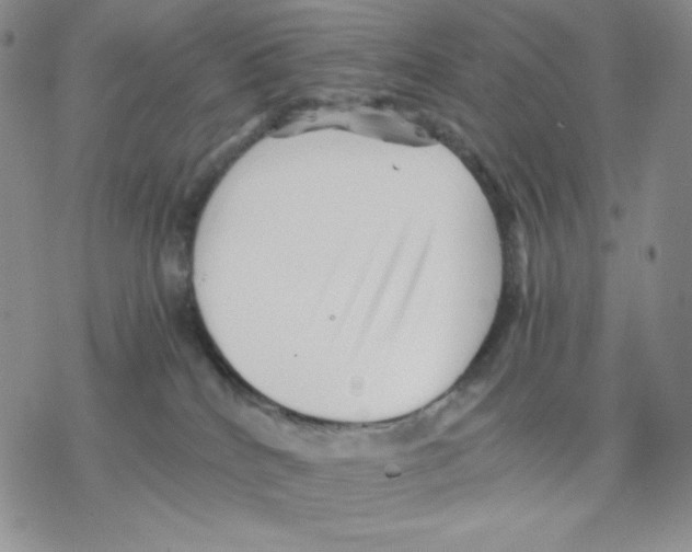 X0000077290040200611171638