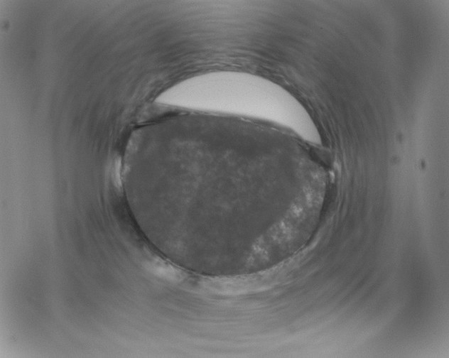 X0000077290041200611171638