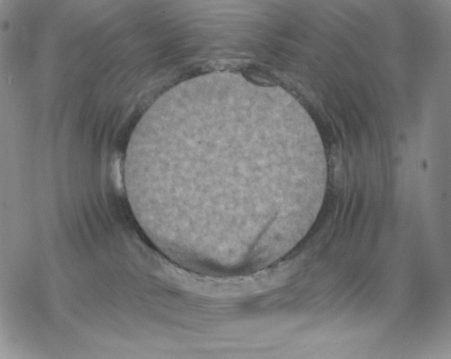 X0000077290042200611171638