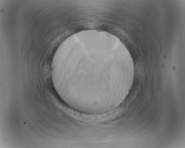 X0000077290043200611171638