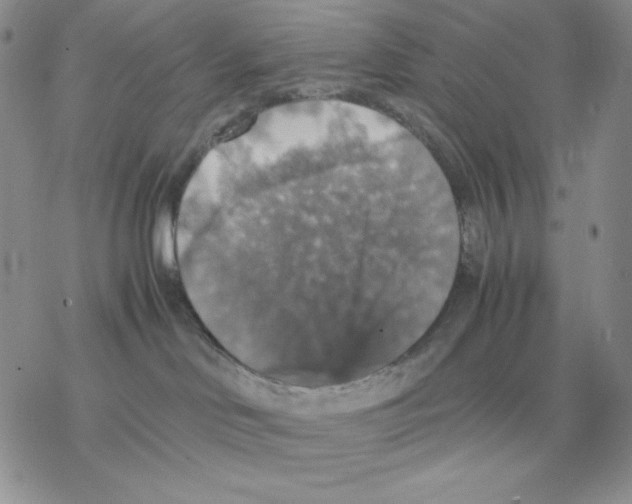 X0000077290046200611171638